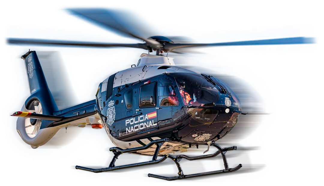 Fuerzas y Cuerpos de Seguridad