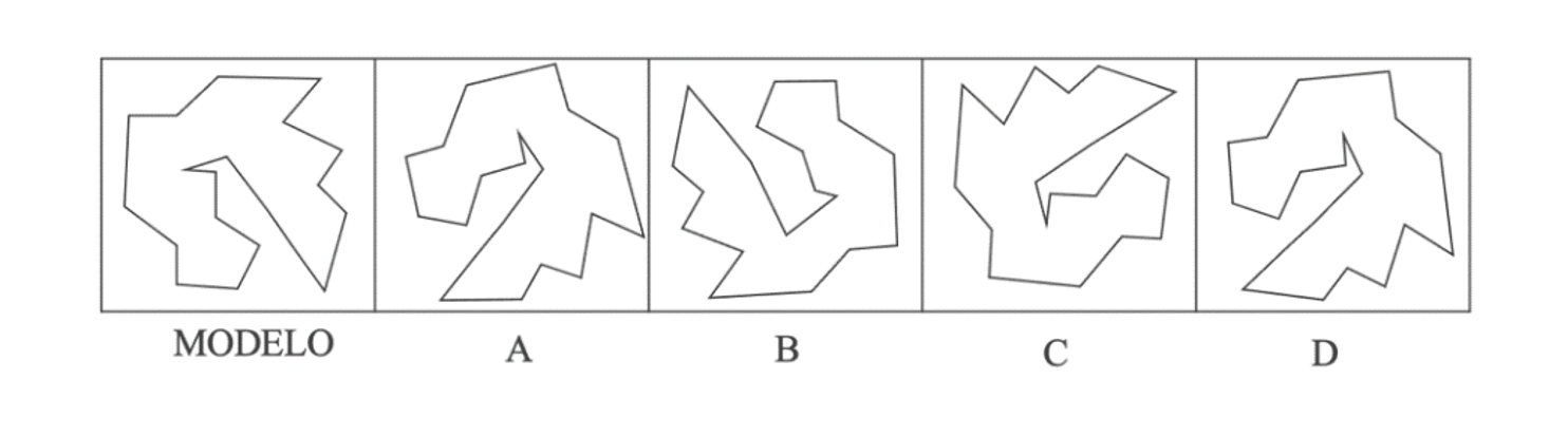 examen-de-test-psicotécnico